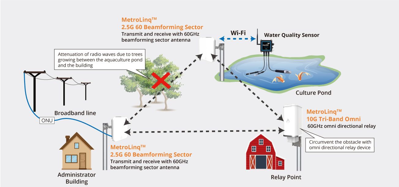 IgnteNet and NTT EAst installed MetroLinq 10G Tri-band Omni